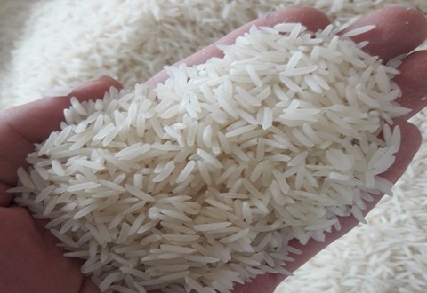 تصویر 4 از فروش برنج ندا ایرانی + قیمت خرید به صرفه